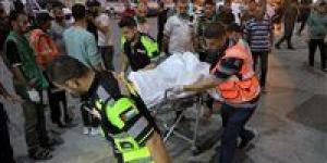 بالبلدي: وصول مجموعة من الأشقاء الفلسطينيين المصابين في أحداث غزة للعلاج بمصر