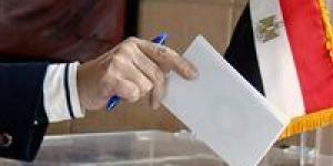 بالبلدي : قبل 15 نوفمبر.. الوطنية للانتخابات تتيح تغيير مركز الاقتراع للناخبين في الانتخابات الرئاسية