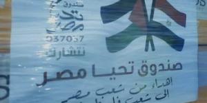 بالبلدي: صندوق "تحيا مصر" يطلق قافلة إغاثة لمساعدة الأشقاء فى غزة.. فيديو