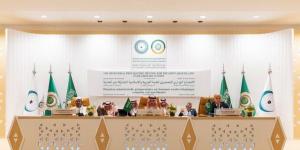 وزير الخارجية يترأس الاجتماع الوزاري للقمة العربية والإسلامية المشتركة بشأن غزة بالبلدي | BeLBaLaDy