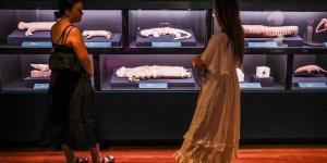 بالبلدي: افتتاح معرض رمسيس وذهب الفراعنة رسميا بمتحف أستراليا بمدينة سيدنى