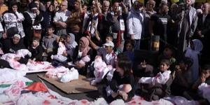 بالبلدي: الأمم المتحدة تكشف عدد الضحايا من النساء والأطفال في غزة belbalady.net