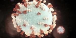 بالبلدي: اليابان تبدأ حملة لتطعيم المواطنين ضد "كورونا" تحسبا لإصابات الشتاء