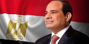 بالبلدي: حزب مصر القومي: السيسي حقق الأمن والأمان.. ودفع بالتنمية في كل المجالات belbalady.net
