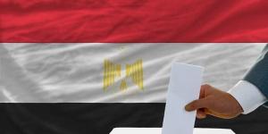 بالبلدي: المصريون في فيتنام وبنجلاديش يشاركون بالانتخابات الرئاسية 2024 belbalady.net