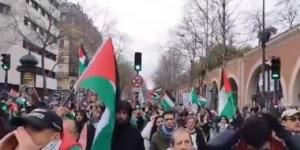 بالبلدي: مسيرات فى عدة مدن فرنسية دعما للشعب الفلسطينى