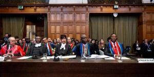 متحدث الفريق القانوني لجنوب إفريقيا أمام محكمة العدل: الموقف في رفح خطير
