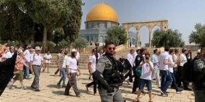 بالبلدي: تقرير سرى للشاباك .. تحذيرات من المناوشات مع الفلسطينيين حال منع وصولهم للمسجد الأقصى في شهر رمضان