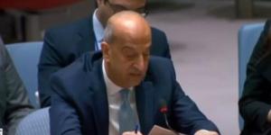 بالبلدي: عاجل .. مندوب مصر بمجلس الأمن يحذر إسرائيل من خططها في رفح الفلسطينية