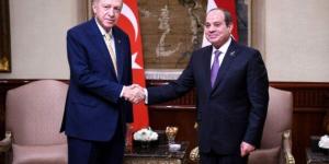 بالبلدي: شكري يشيد بالنتائج الإيجابية التي تمخضت عنها زيارة الرئيس التركي إلى مصر