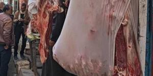 بالبلدي: انفراجة .. «الحكومة» تودع أزمة اللحوم باستيراد 154 ألف رأس ماشية بأسعار خيالية