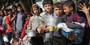 بالبلدي: بريطانيا تدعو إلى تحقيق عاجل في مجزرة المساعدات شمال غزة belbalady.net