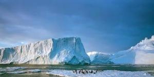 بالبلدي: الباحثون فى القارة القطبية الجنوبية يطورون لهجة غريبة