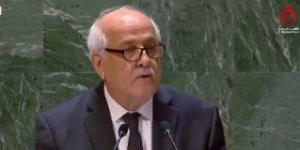 بالبلدي: مندوب فلسطين فى الأمم المتحدة: مجلس الأمن منع عدة مرات من وضع حد لفظائع الاحتلال