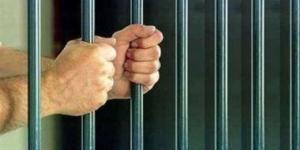 بالبلدي: السجن المشدد 20 سنة لـ7 متهمين بتزوير المحررات الرسمية بالعبور
