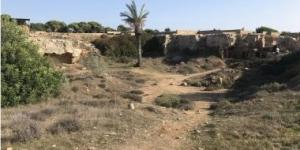 بالبلدي: العثور على مقابر منسية فى قاعدة عسكرية بريطانية فى قبرص.. اعرف قصتها