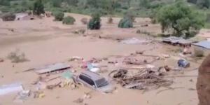 بالبلدي: ارتفاع ضحايا فيضانات بوليفيا إلى 51 شخصا وتضرر أكثر من 40 ألف أسرة..فيديو