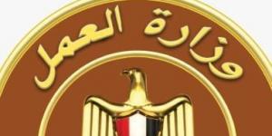 بالبلدي: انعقاد الدورة الـ50 لمنظمة العمل العربية العربية بالعراق أبريل المقبل