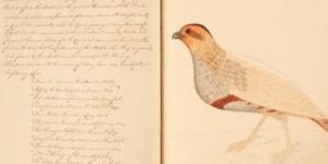 بالبلدي: نسخ نادرة من كتاب داروين وهارى بوتر في مزاد بونهامز