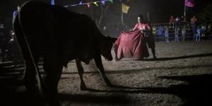 بالبلدي: مصارعة الثيران.. رعاة البقر يحيون كرنفال بنما التقليدى