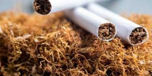 بالبلدي: بنسبة 30%.. تراجع استهلاك السجائر في رمضان