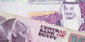 بالبلدي : الريال السعودي يهبط بنسبة 5.35% أمام الجنيه المصري بعد أسبوعين على التعويم