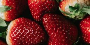 بالبلدي: وصفات طبيعية من الفراولة للعناية بالبشرة.. التخلص من التجاعيد أبرز فوائدها