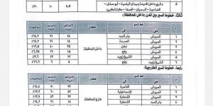بالبلدي: شمال سيناء تعلن أسعار المواصلات الجديدة للخطوط الداخلية والخارجية