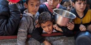 بالبلدي: مندوب فلسطين لدى الأمم المتحدة: إسرائيل مسئولة عن المجاعة في قطاع غزة.. فيديو belbalady.net