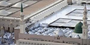 بالبلدي: "شئون الحرمين": عدد المتطوعات العاملات بالمسجد النبوى خلال رمضان تجاوز 1300