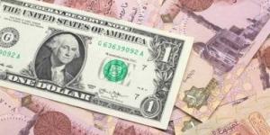 بالبلدي: سعر الدولار أمام الجنيه المصرى اليوم الاثنين 25-3-2024
