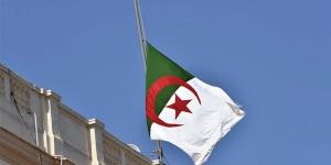 بالبلدي: بسبب الفواصل الإعلانية .. تحرك عاجل للسلطات الجزائرية ضد عدد من القنوات belbalady.net