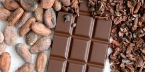 محبو الشوكولاتة في خطر..ماذا يعني ارتفاع أسعار الكاكاو لمستويات قياسية؟ بالبلدي | BeLBaLaDy