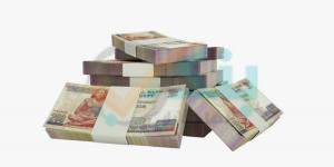 بالبلدي : محفظة ودائع بنك الإستثمار العربي ترتفع إلى 50.9 مليار جنيه بنهاية 2023