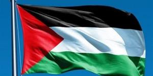 بالبلدي: فلسطيني ينتقد المقاومة على تليفزيون إسرائيلي وقرار عاجل لنقابة المحامين belbalady.net