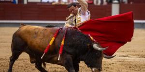 بالبلدي: مغامرات ومفاجآت.. كرنفال مصارعة الثيران فى إسبانيا