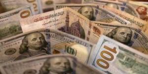 بالبلدي : أسعار الدولار في مصر اليوم الإثنين