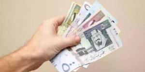 بالبلدي : سعر الريال السعودي أمام الجنيه المصري اليوم الإثنين