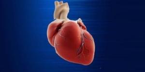 بالبلدي: ما اختبار الخطوة؟ وكيفية استخدامه لتحديد صحة القلب والرئة