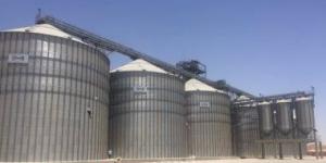 بالبلدي: رصيد صومعة الحبوب والغلال للقطاع العام من القمح 60341 طنًا بميناء دمياط