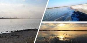 بالبلدي: محظورات بقانون تنمية البحيرات.. صيد الطيور لحمايتها وتطويرها الأبرز