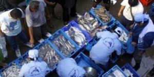 بالبلدي: ارتفاع أسعار الأسماك والمأكولات البحرية فى بيرو بسبب الاحتفال بعيد الفصح