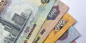 بالبلدي: سعر الدرهم الإماراتى اليوم الأربعاء 3-4-2024