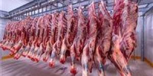 بالبلدي: سعر اللحوم في السوق المصري اليوم الأربعاء 3 - 4 – 2024