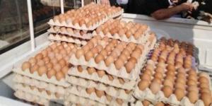 بالبلدي: وزارة الزراعة تطلق اليوم المنافذ المتحركة لبيع كرتونة البيض بـ 140 جنيها