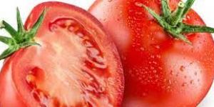 بالبلدي : هل عصير الطماطم له فوائد؟.. عالمة أحياء تكشف مفاجآت