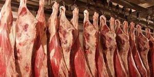 بالبلدي: تعرف على أسعار اللحوم البلدية والمستوردة اليوم الثلاثاء 9 أبريل 2024 belbalady.net