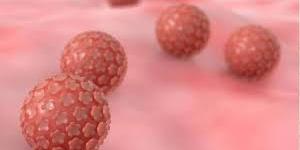 بالبلدي : فيروس Metapneumovirus البشري القاتل.. 4 أعراض يجب الانتباه إليها