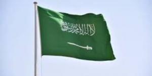 بالبلدي: السعودية وباكستان يحثان على بذل جهود دولية لوقف العمليات فى غزة