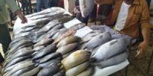 بالبلدي: أسعار السمك اليوم الأربعاء 10 - 4 – 2024 في السوق المصري